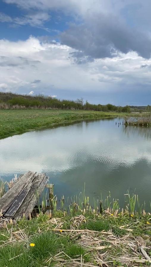 Agroturystyka Nad Jeziorem Silickim Ilinscy Silice Buitenkant foto