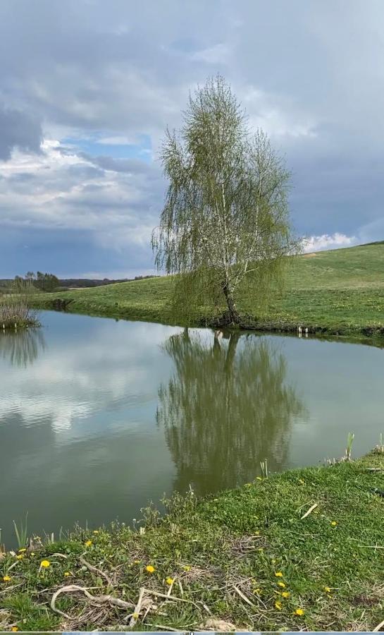 Agroturystyka Nad Jeziorem Silickim Ilinscy Silice Buitenkant foto
