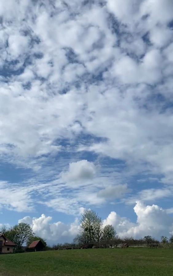 Agroturystyka Nad Jeziorem Silickim Ilinscy Silice Buitenkant foto