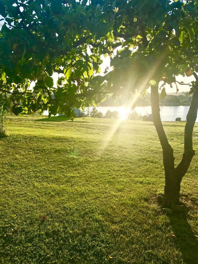 Agroturystyka Nad Jeziorem Silickim Ilinscy Silice Buitenkant foto